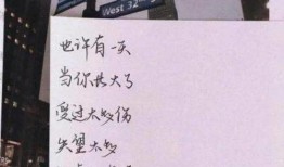 橘子最新爆料文案短句,最新爆料文案短句背后的故事